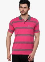 Cotton County Premium Pink Striped Polo T-Shirts