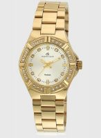 Daniel Klein Dk10202-1 Golden Analog Watch