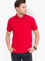 Elaborado Red Solid Polo T-Shirts