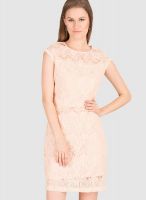 Gipsy Pink Colored Embroidered Shift Dress