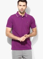 Izod Purple Solid Polo T-Shirts