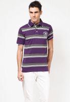 Jogur Purple Striped Polo T-Shirts