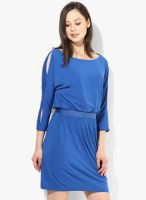 Morgan Blue Colored Solid Shift Dress
