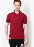 Sdl By Sweet Dreams Maroon Solid Polo T-Shirts