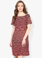 Sisley Multicoloured Printed Shift Dress