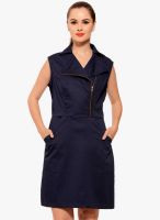 Sugar Her Navy Blue Colored Solid Shift Dress