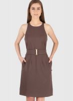 Tops And Tunics Brown Colored Solid Skater Dress