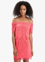 Topshop-Outlet Bardot Lace Dress
