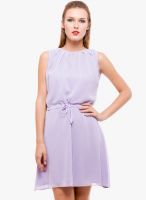 Being Fab Purple Solid Dress