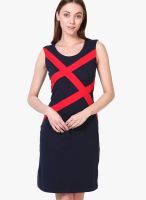 Besiva Navy Blue Colored Solid Shift Dress