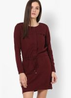 Calvin Klein Jeans Maroon Colored Solid Shift Dress