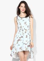 Ginger By Lifestyle Blue Colored Printed Shift Dress