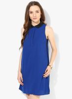 Ginger By Lifestyle Blue Colored Solid Shift Dress