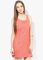 Ginger By Lifestyle Orange Colored Solid Shift Dress