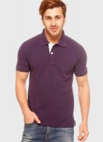 Gritstones Purple Solid Polo T-Shirt