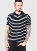 Incult Navy Blue Striped Polo T-Shirts