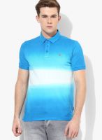 Izod Aqua Blue Solid Polo T-Shirts