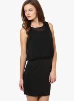 Only Black Colored Solid Shift Dress