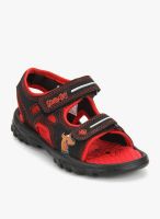 Scooby Doo Sd Face Sandal Black Floaters
