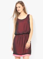 Sisley Maroon Coloured Solid Shift Dress