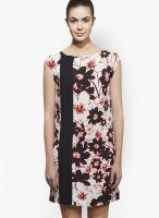 Sisley Multicoloured Printed Shift Dress