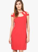 Sisley Red Colored Solid Shift Dress