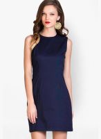 Sugar Her Navy Blue Colored Solid Shift Dress