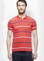 United Colors of Benetton Red Striped Polo T-Shirts