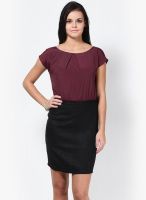 United Colors of Benetton Wine Colored Solid Shift Dress