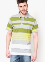 VOI Grey Striped Polo T-Shirts