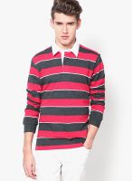 Wills Lifestyle Dark Grey Striped Polo T-Shirts