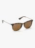 Ray_Ban_Square_Sunglasses_2.jpg