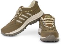 Fitcolus Running Shoes(Brown) Fitcolus Running Shoes(Brown)