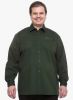 Pluss_Green_Solid_Regular_Fit_Casua.jpg