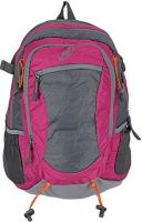 Novex Amor 30 L Medium Backpack(Pink)