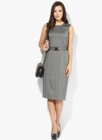 Van Heusen Grey Colored Striped Shift Dress With Belt