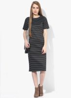 Elle Black Colored Striped Shift Dress