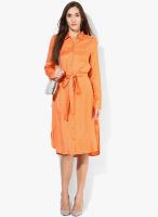 Femella Orange Colored Solid Shift Dress With Belt