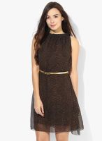 Gas Brown Colored Printed Shift Dress With Belt
