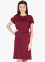 Kaaryah Wine Solid Shift Dress