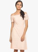 Label VR Peach Colored Embroidered Shift Dress