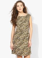 Latin Quarters Brown Colored Printed Shift Dress