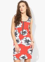 Latin Quarters Red Colored Printed Shift Dress