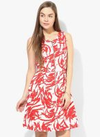 Latin Quarters Red Colored Printed Shift Dress