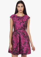 Oxolloxo Pink Colored Printed Shift Dress