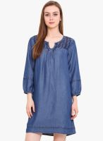 Pryma Donna Blue Colored Solid Shift Dress
