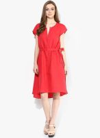 Sisley Red Colored Solid Shift Dress With Belt