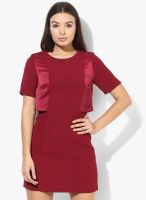 TOPSHOP Maroon Colored Solid Shift Dress