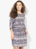 Tom Tailor Purple Colored Printed Shift Dress