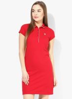 U.S. Polo Assn. Red Solid Shift Dress